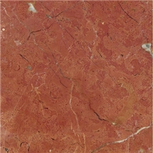 RED ALICANTE (SPAIN)